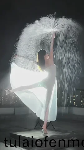 欧美成人精品一级在线观看