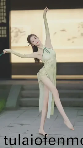 欧美成精品视频在线观看
