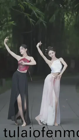 精品一区二区在线