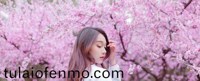 欧美午夜精品一区二区三区