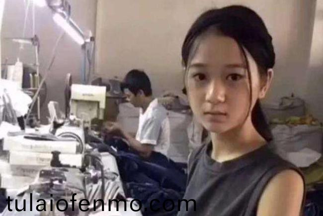 欧美精品-国产线视频在线观