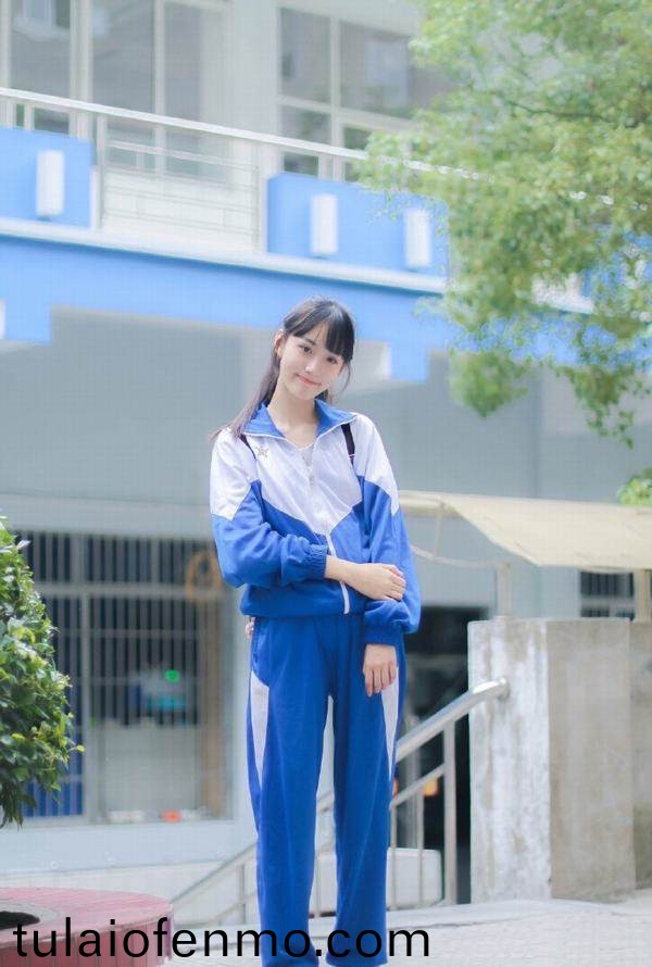 欧美午夜理伦三级在线观看