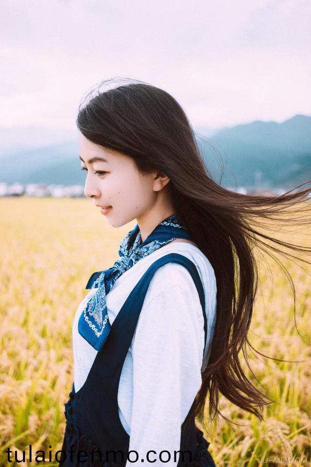 精品一级毛片A久久久