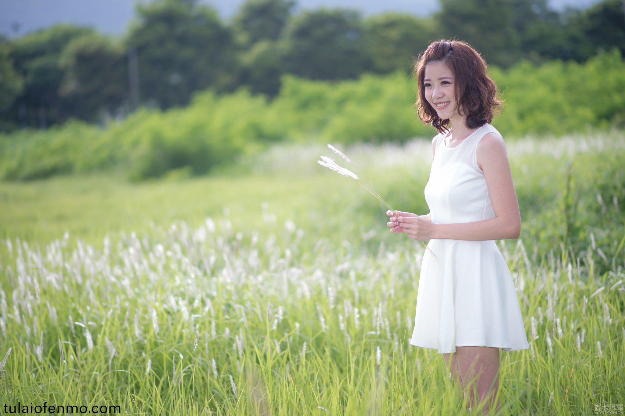 99最新在线视频