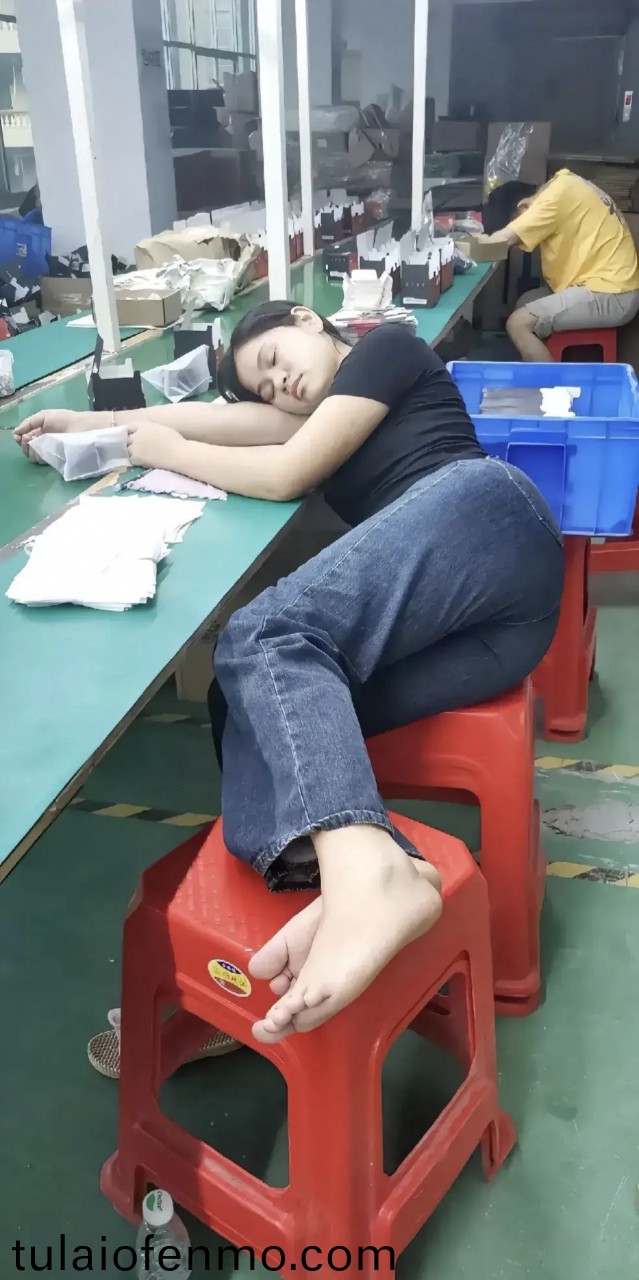 国产 日韩 高清 永久免费