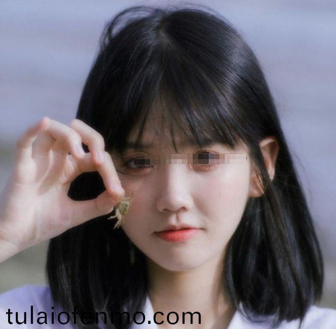 国产成人综合高清在线观看