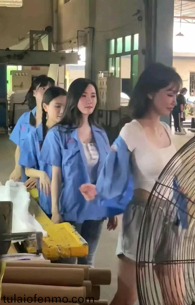 国产一级二级三级视频在线观看