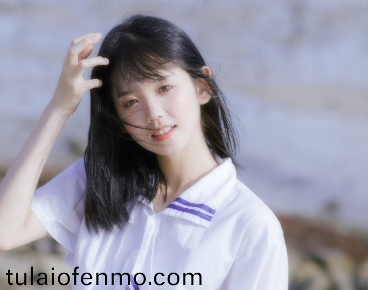 成人精品视频在线观看不卡