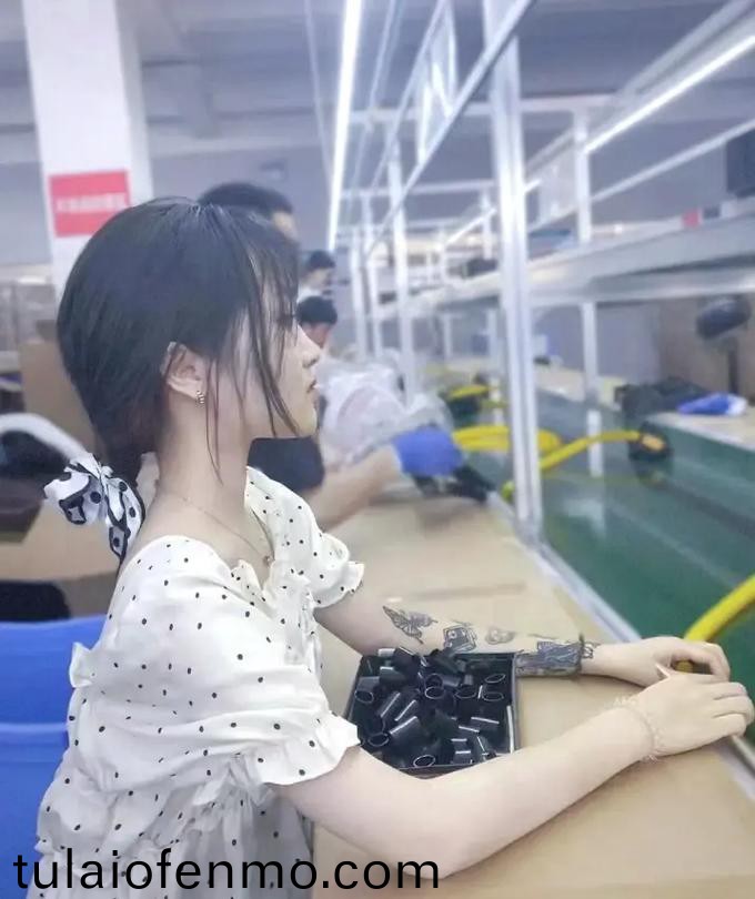 欧美一级精品片在线看