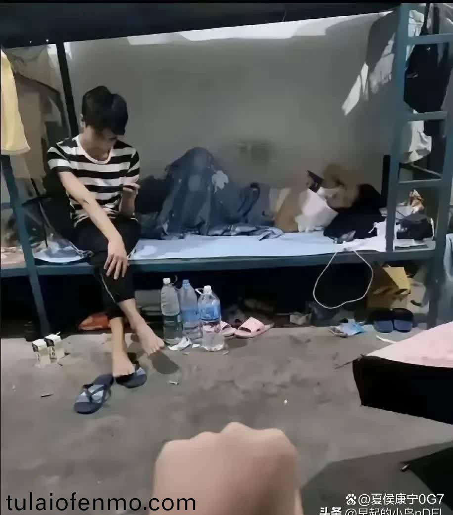 内射一区二区精品视频在线观看